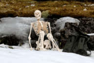 Skeleton in snow